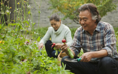 Spring and Health: A Traditional Chinese Medicine Perspective on Five Vegetables Ideal for Spring Consumption