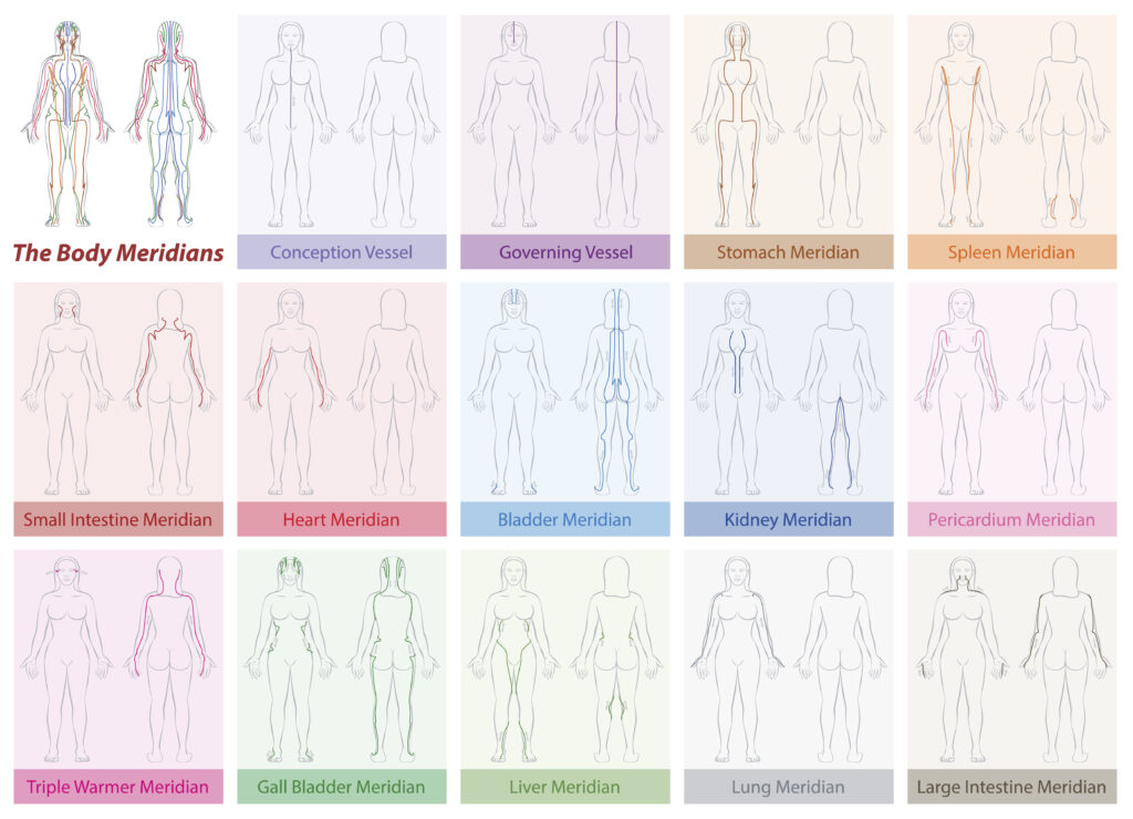 Body Meridians Chart Woman Colors
