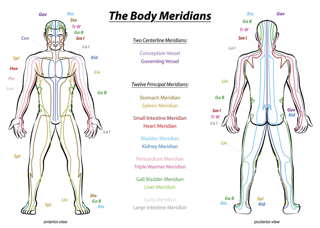 Meridian System Description Chart Male Body