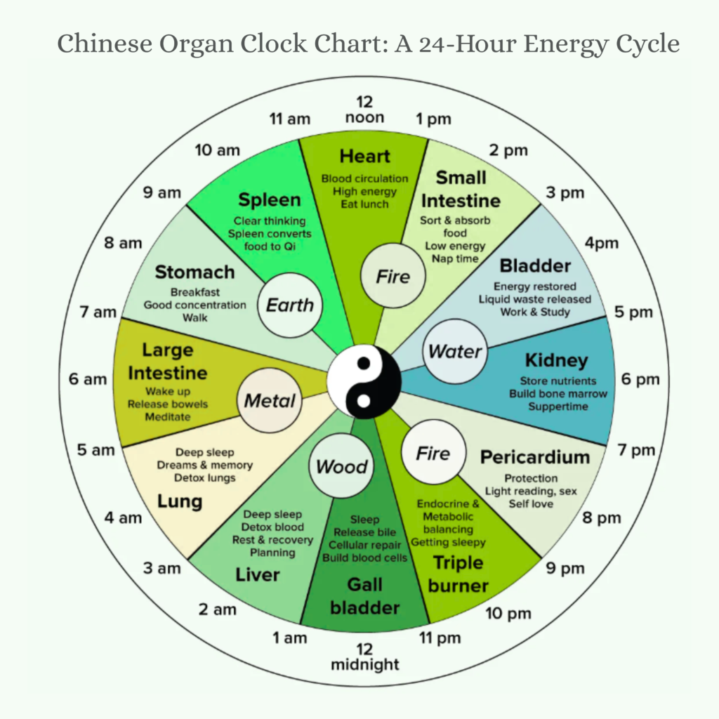 What Is the Chinese Body Clock